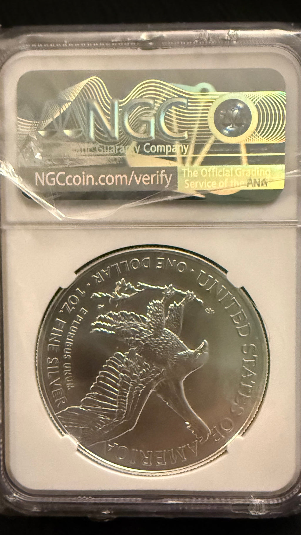 2023 American Silver Eagle – NGC MS69 Early Release