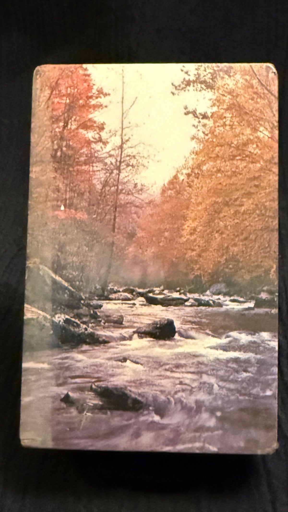 Vintage ARRCO Playing Card Co. Scenic River Playing Cards – Factory Sealed – Chicago USA
